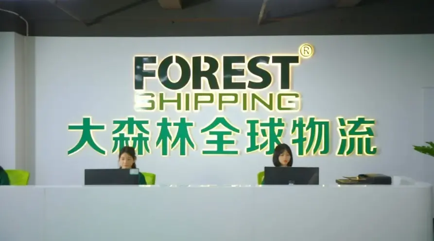 大森林全球物流成立于2010,伴随跨境电商行业浪潮,致力于为跨境电商客户提供可靠的定制化全球物流服务